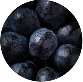 Grape seed extract ingredient