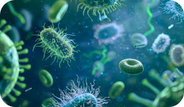 Gut health illustration